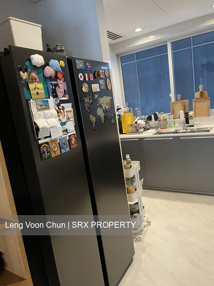 St. Regis Residences (D10), Apartment #350006241